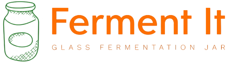 ferment it logo